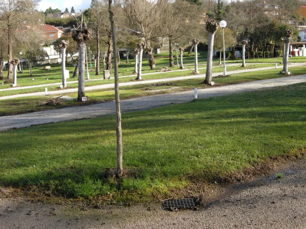 Camping Green Village