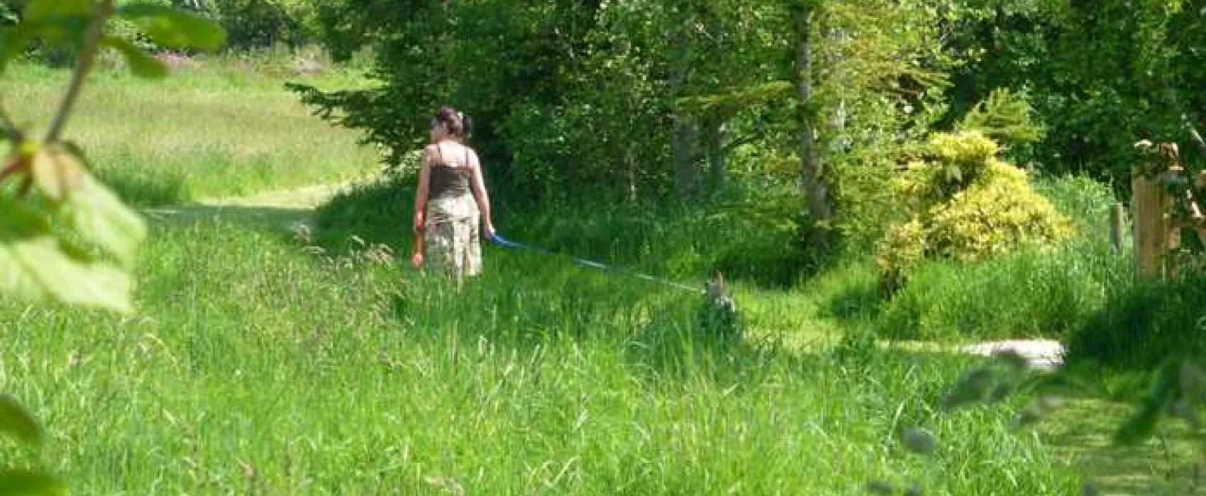 Trethem Mill Touring Park