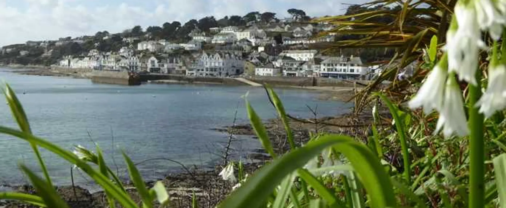 Trethem Mill Touring Park