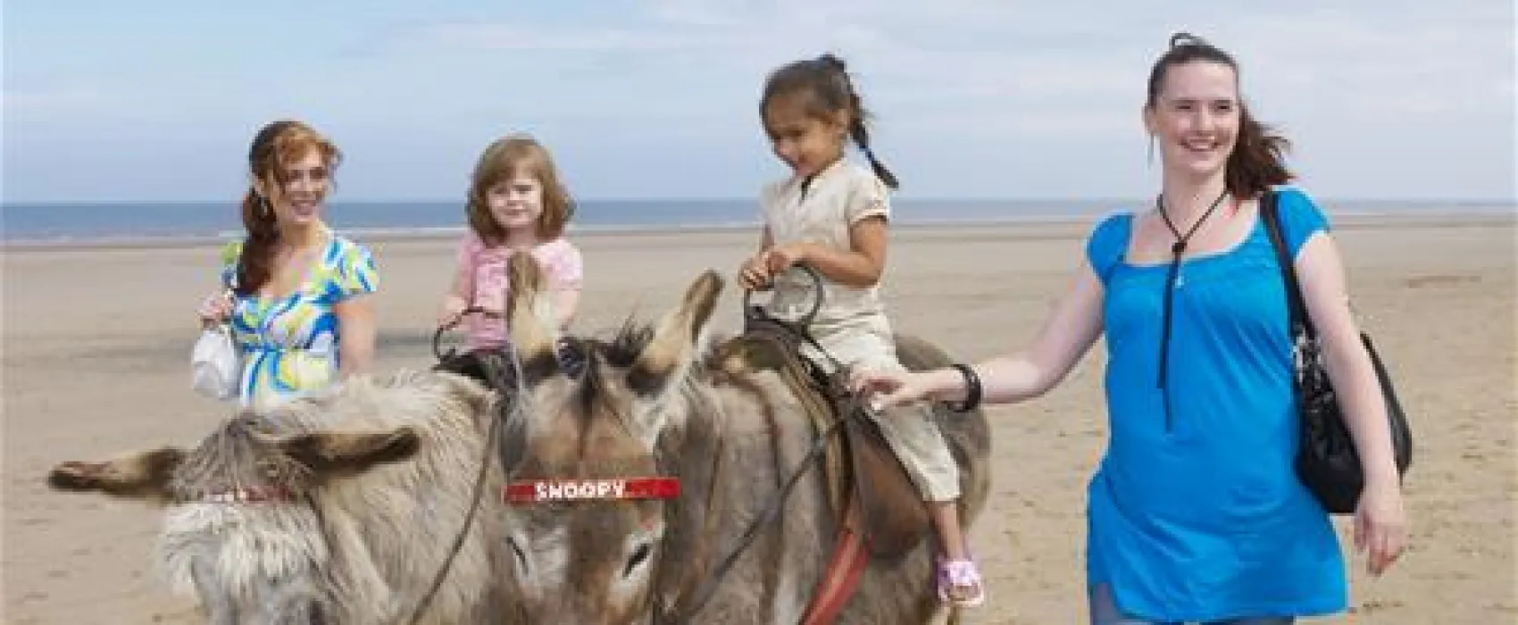 Sunnydale Holiday Park