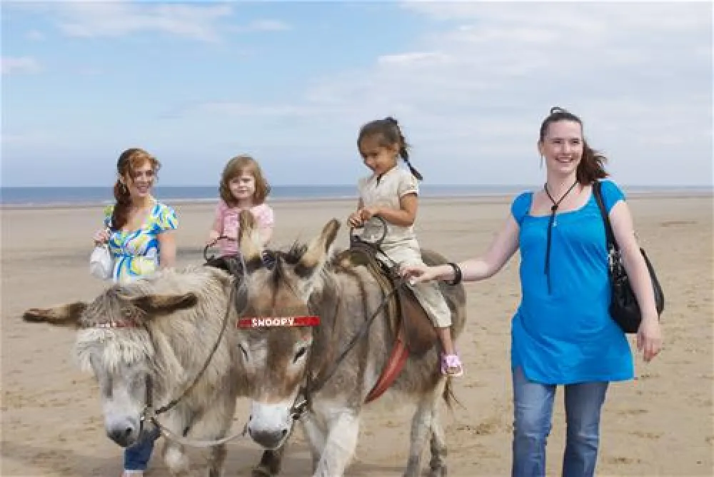 Sunnydale Holiday Park