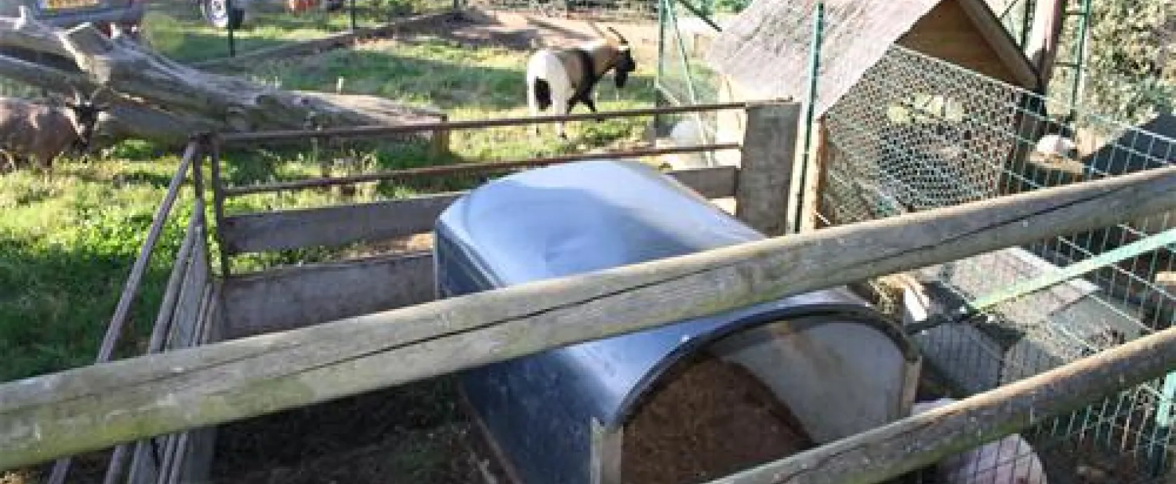 La Ferme de Lann Hoëdic