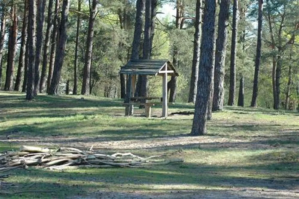 Camping Biwak pod Sosnami