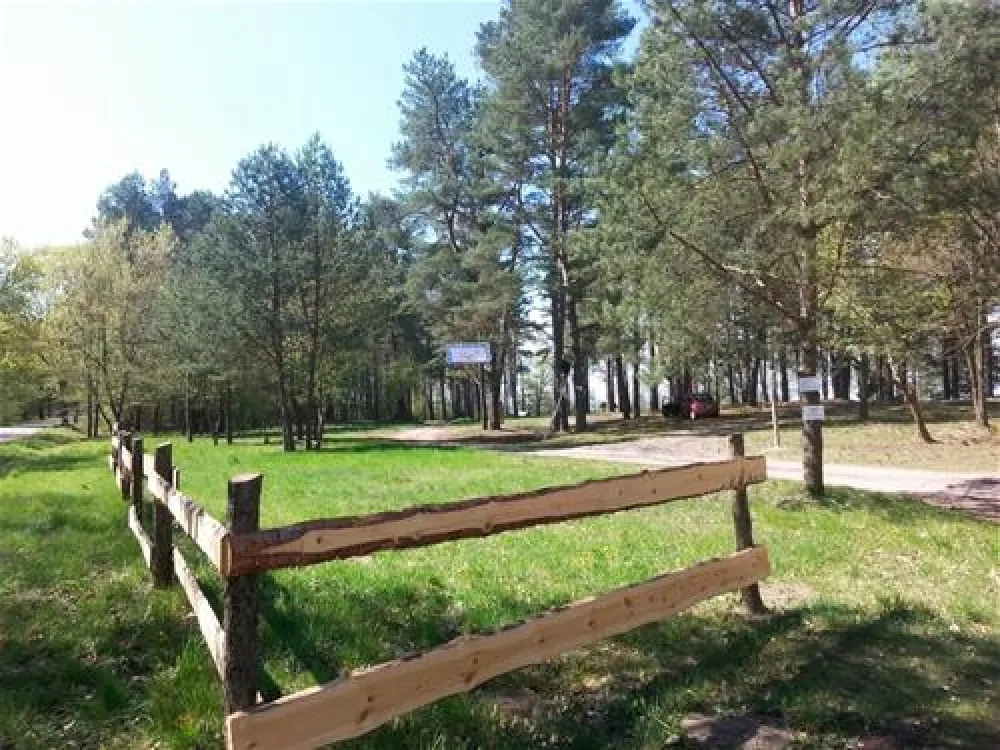 Camping Biwak pod Sosnami