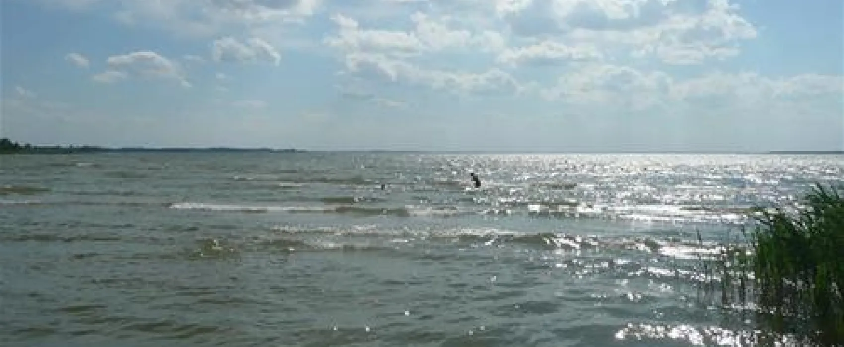 Camping Biwak pod Sosnami