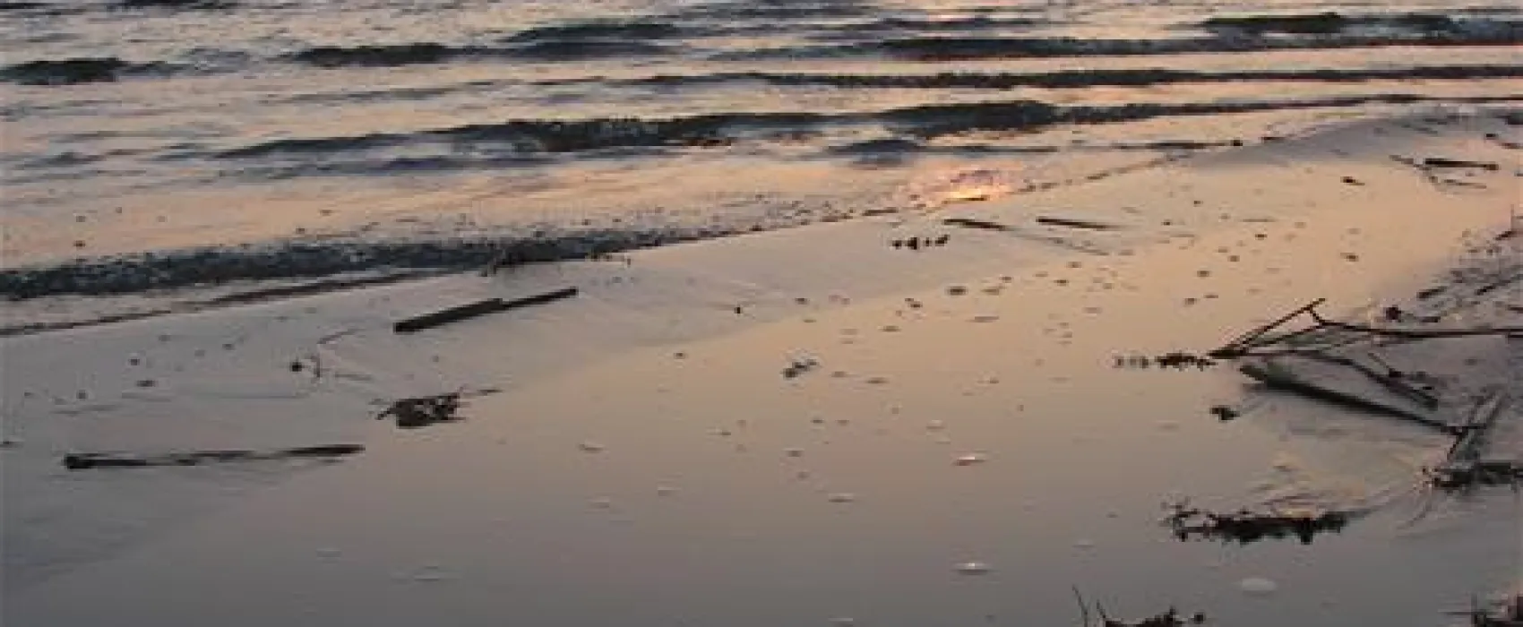 Camping Biwak pod Sosnami