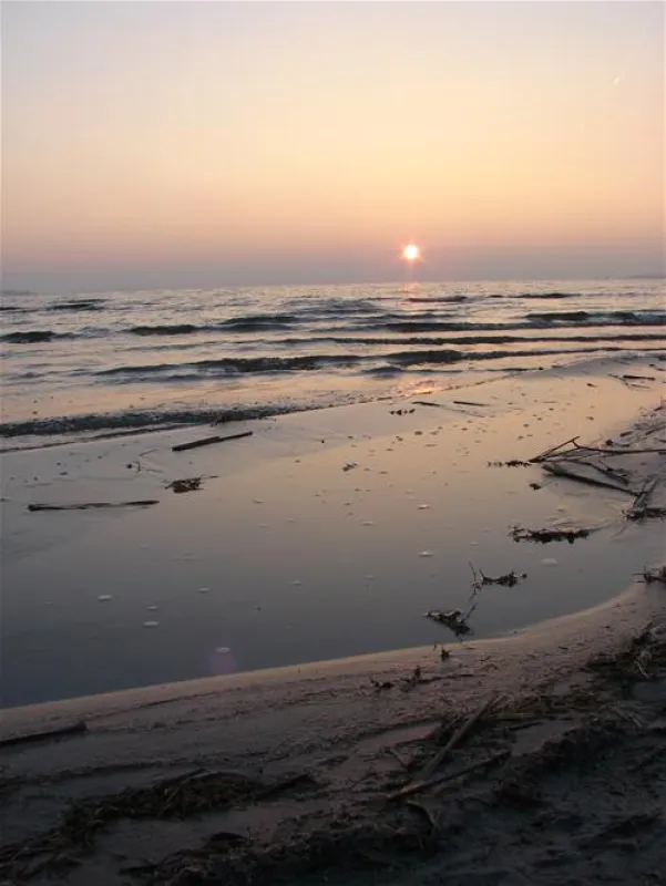 Camping Biwak pod Sosnami