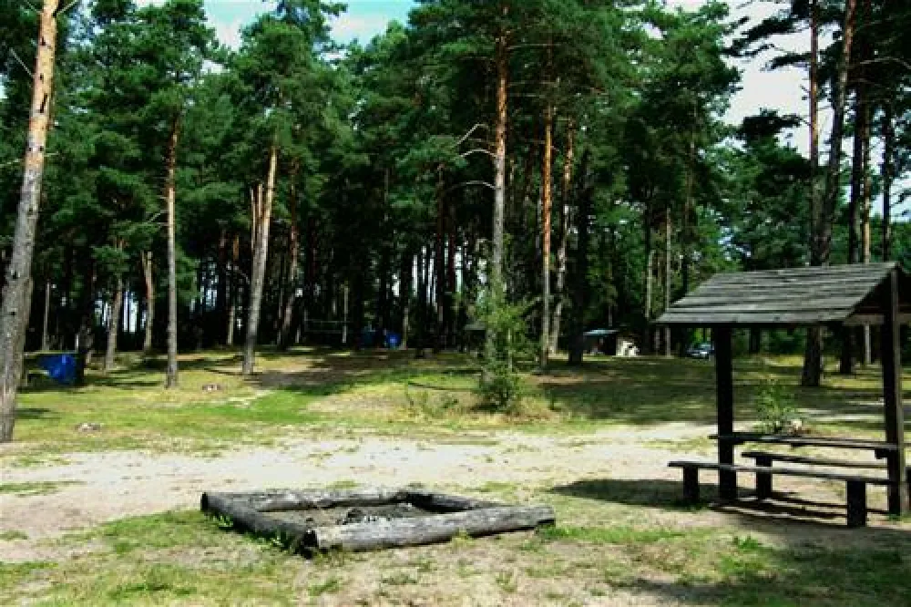 Camping Biwak pod Sosnami