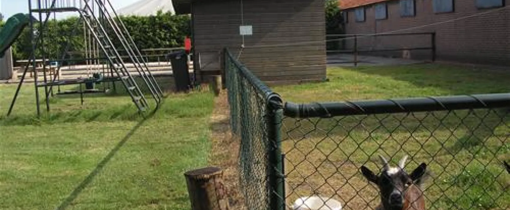 Camping de Stippelberg