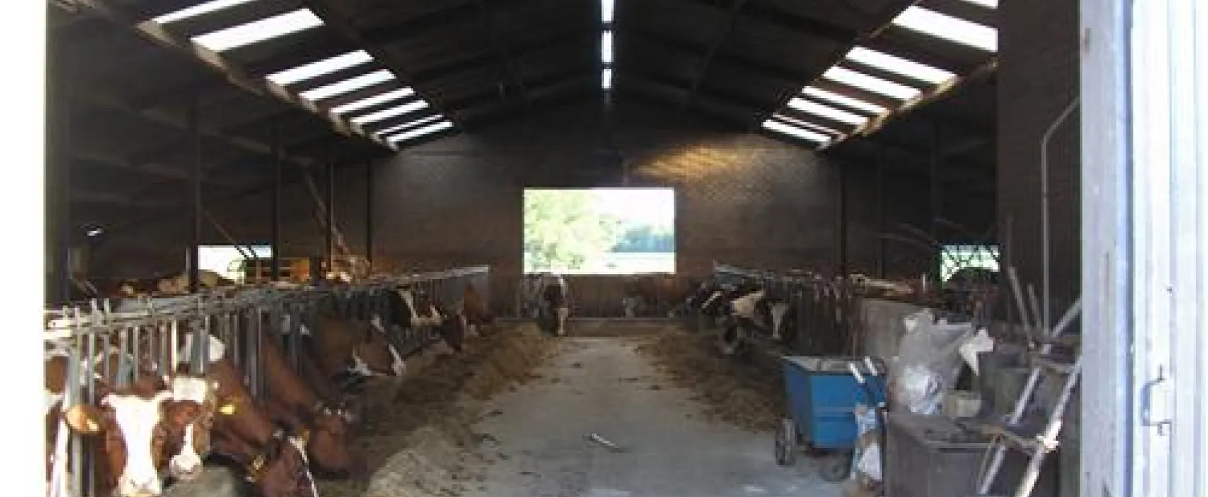 Camping de Stippelberg