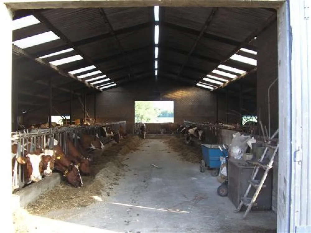 Camping de Stippelberg