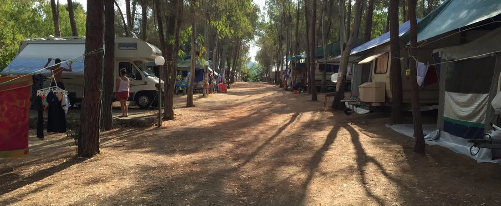 Camping Lacona Pineta