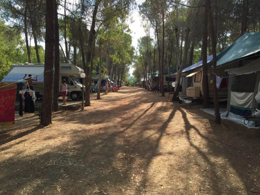 Camping Lacona Pineta