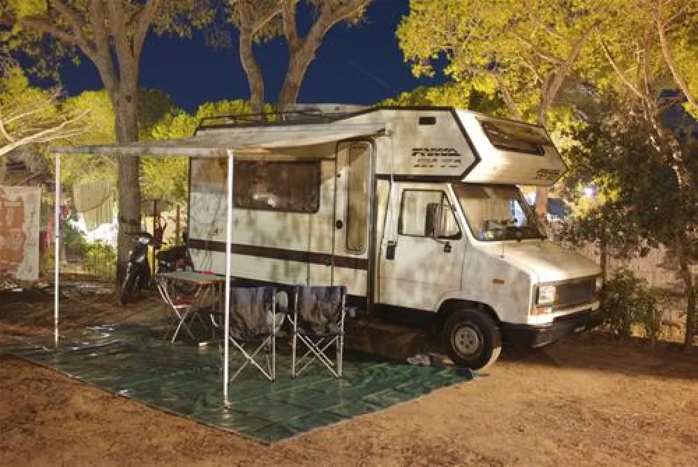 Camping Lacona Pineta