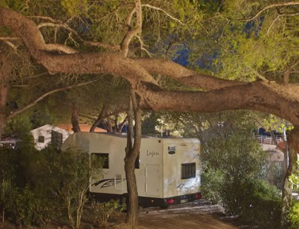 Camping Lacona Pineta