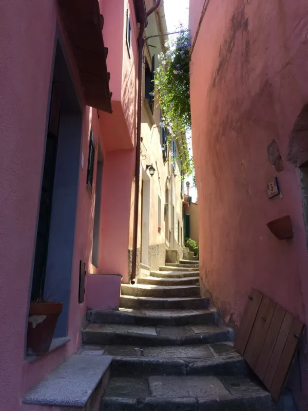 Camping Lacona Pineta