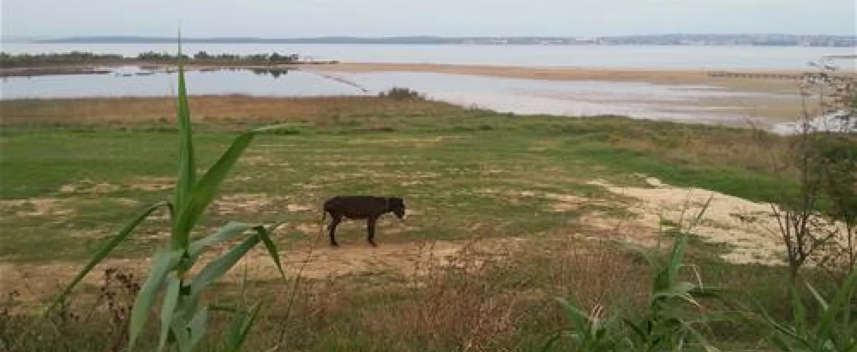 Camping Ninska Laguna