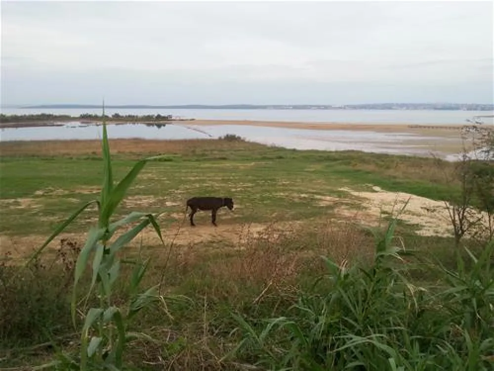 Camping Ninska Laguna