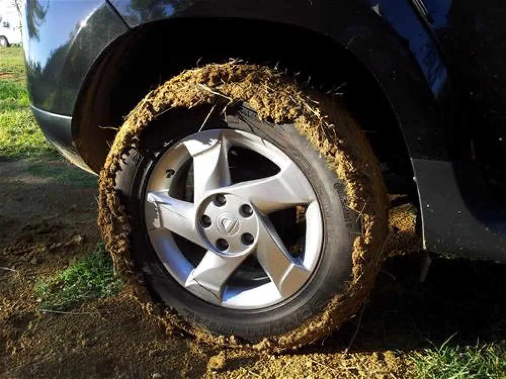 Camping Ninska Laguna