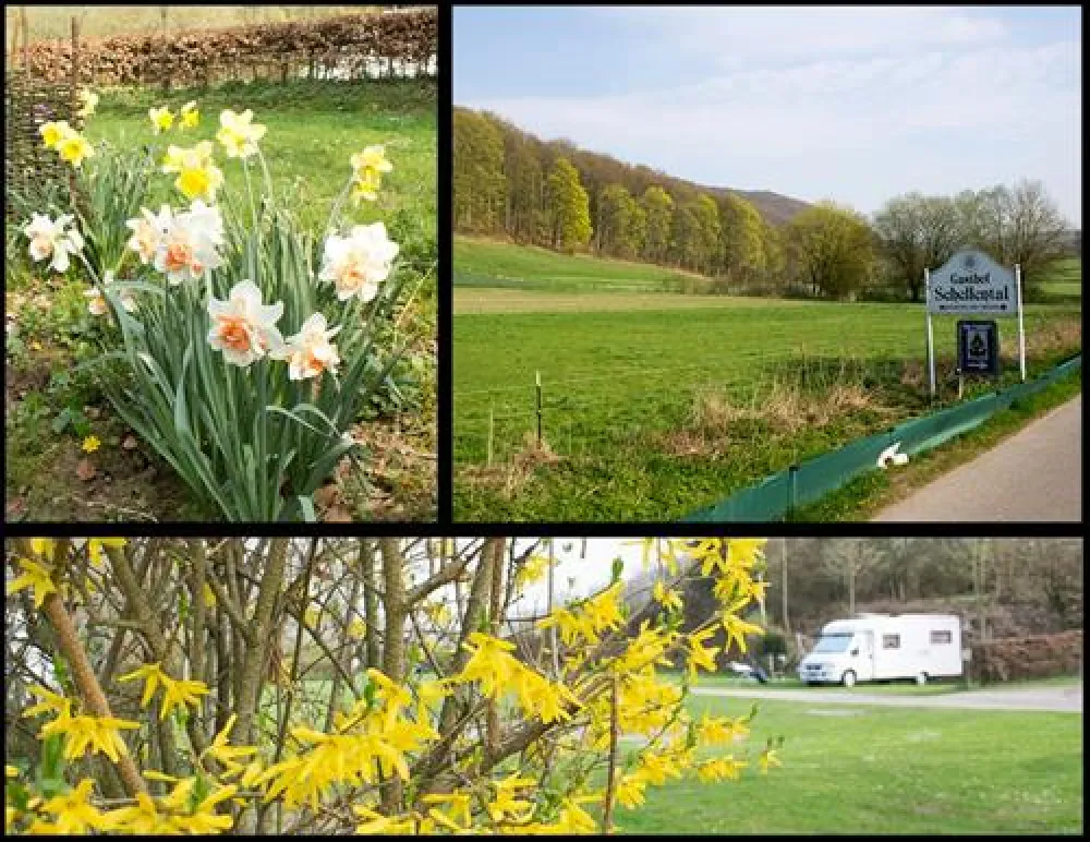 Campingpark Schellental