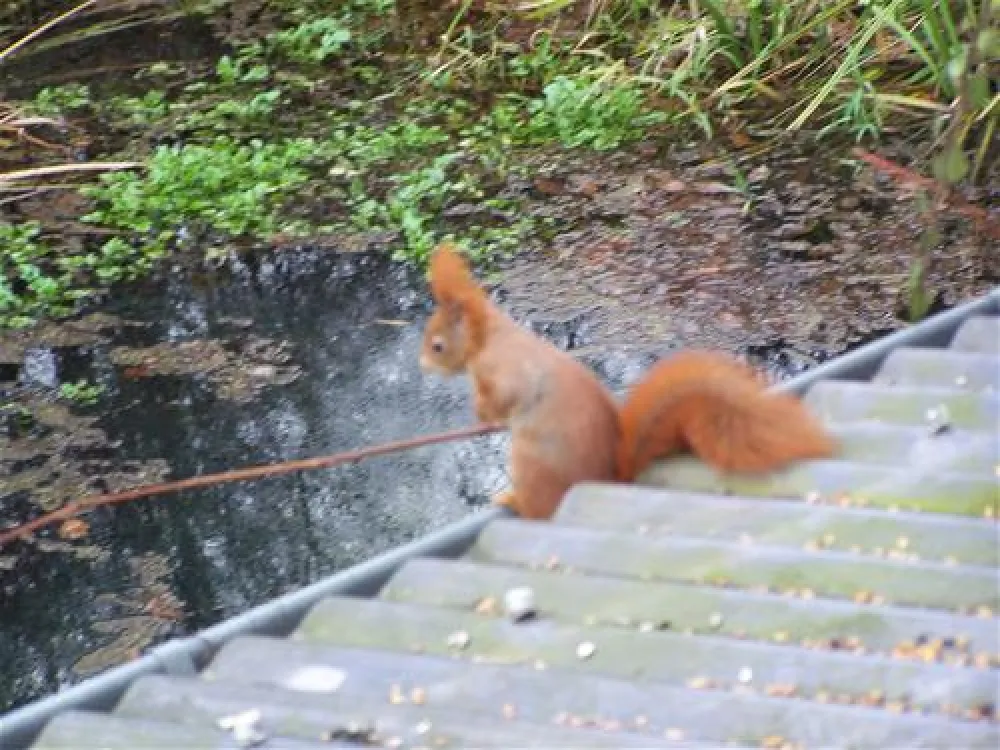 Campingpark Schellental