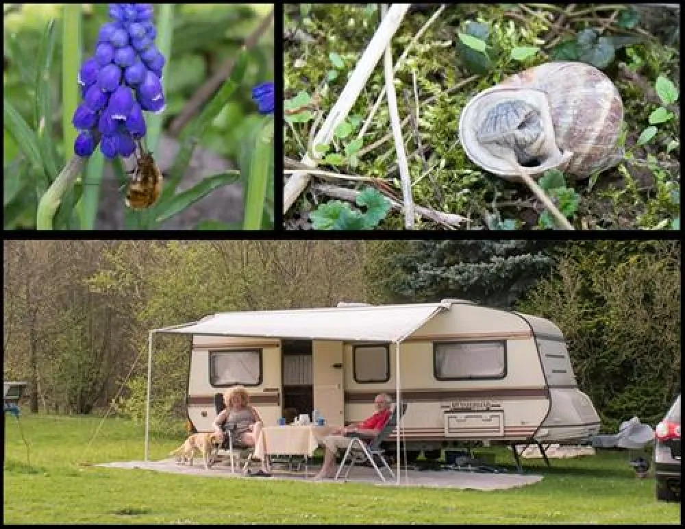 Campingpark Schellental