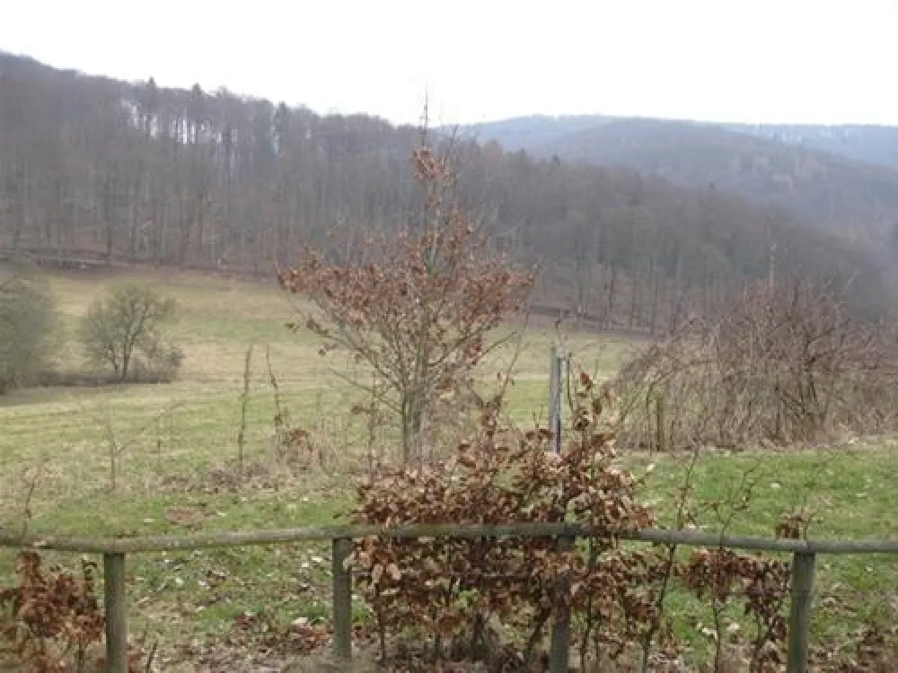 Campingpark Schellental