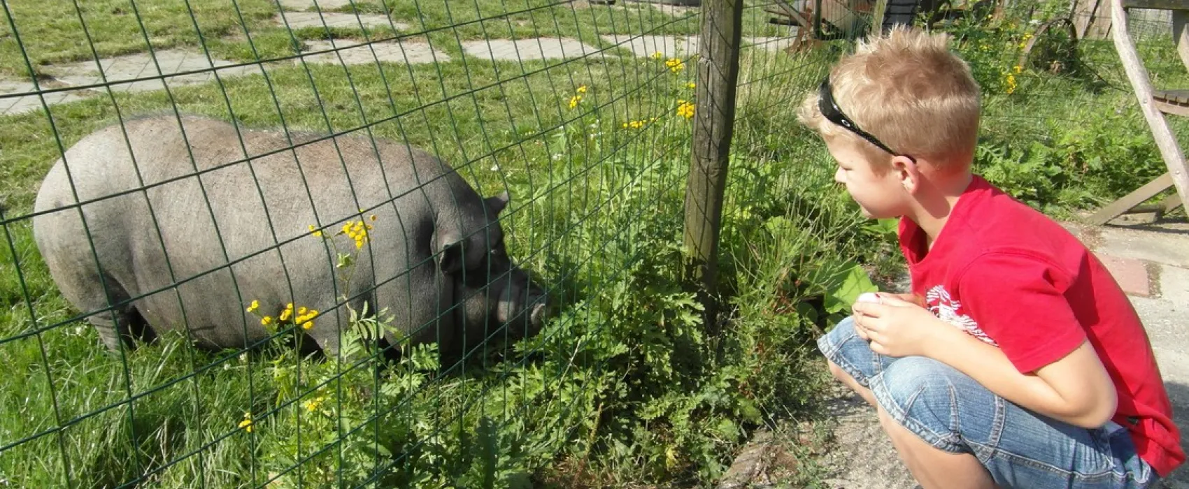 Camping Onder de Dijk