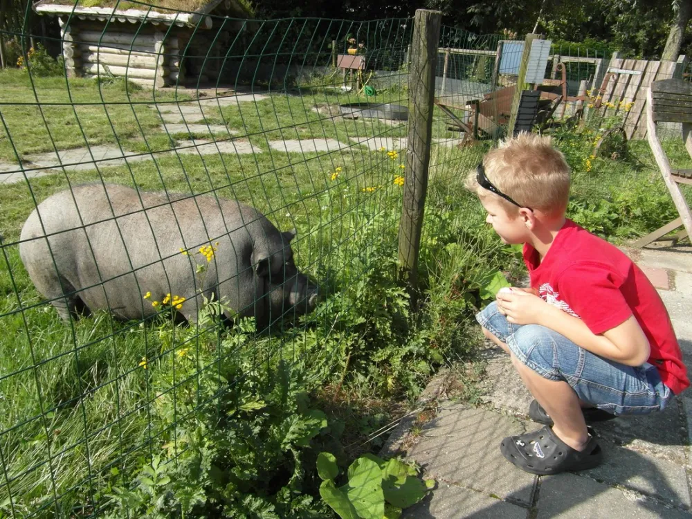 Camping Onder de Dijk