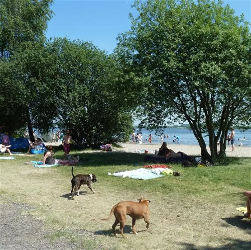 ERKEMEDERSTRAND