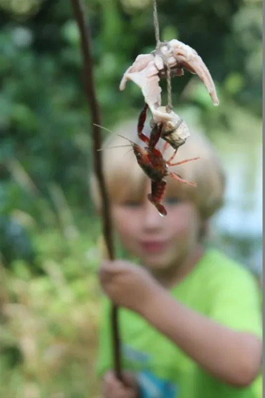 Camping du lac de Lislebonne