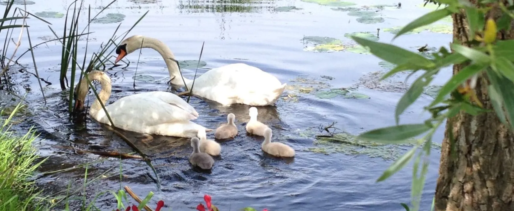 Camping Het Kampererve