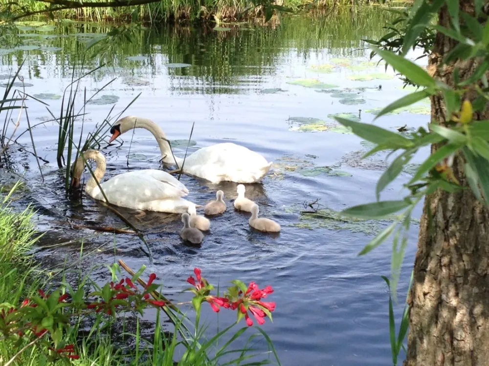 Camping Het Kampererve