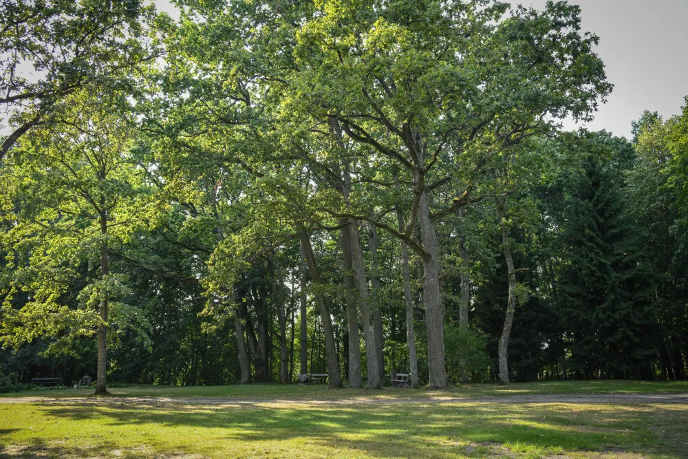 UKI HOLIDAY VILLAGE/ UULU KIRIK KULTUURI- JA PUHKEKÜLA