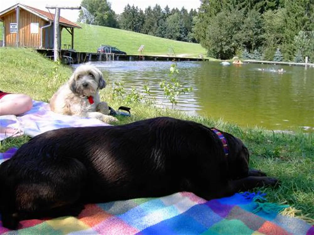 Ferienhof Schiermeier