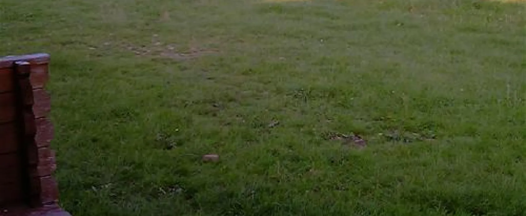 Camping Turistic Piscicol