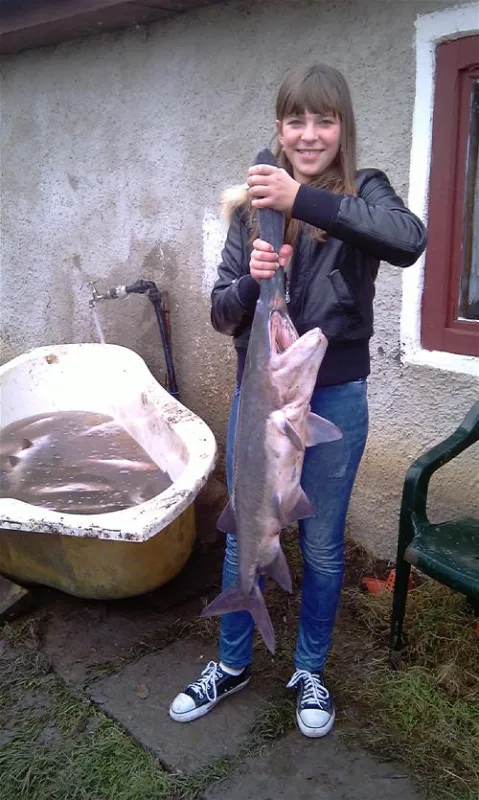 Camping Turistic Piscicol