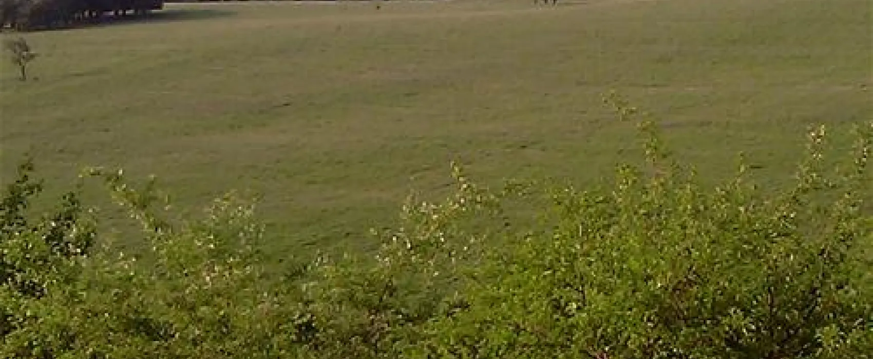 Camping Turistic Piscicol