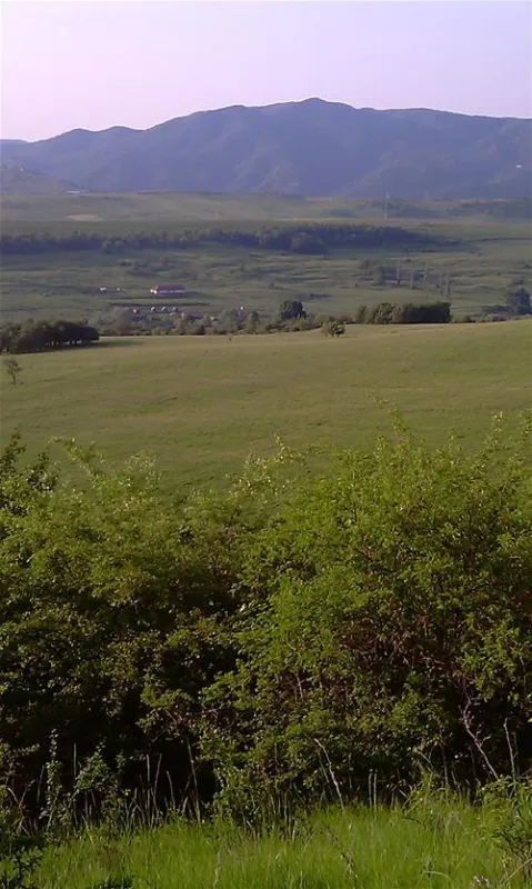 Camping Turistic Piscicol