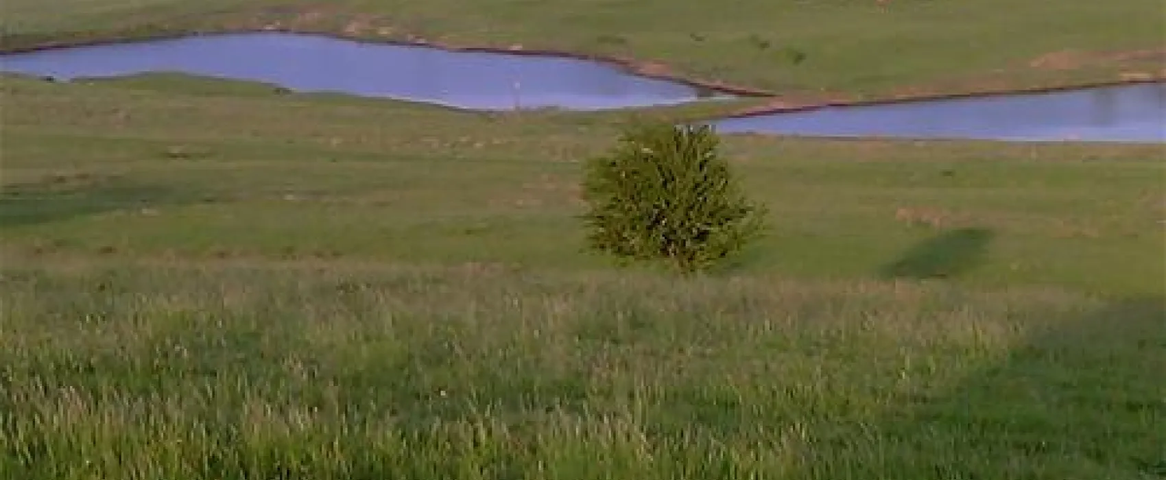 Camping Turistic Piscicol