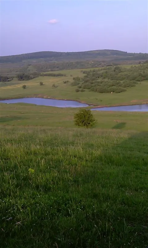 Camping Turistic Piscicol