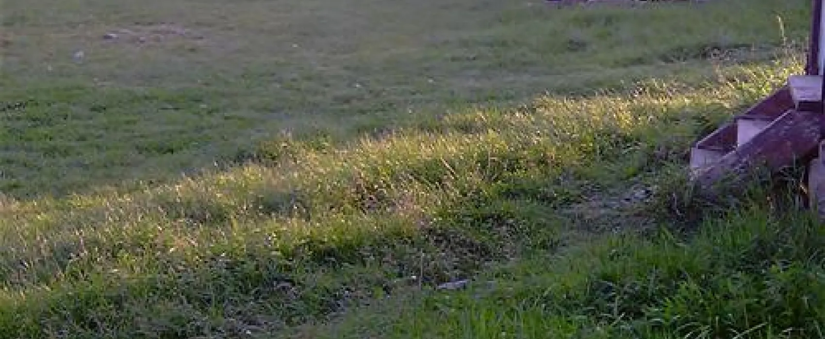 Camping Turistic Piscicol