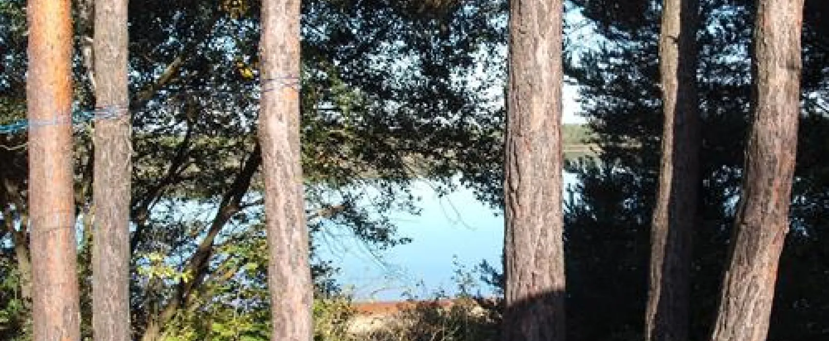 Familienpark Senftenberger See