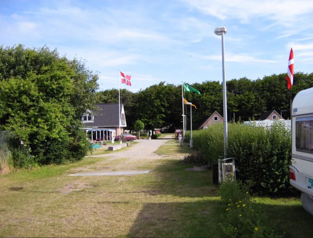 Løgstør Camping