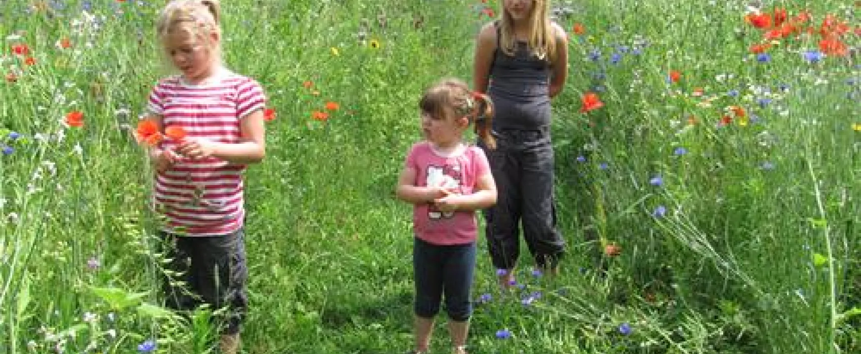 Eco - Touristfarm De Biezen