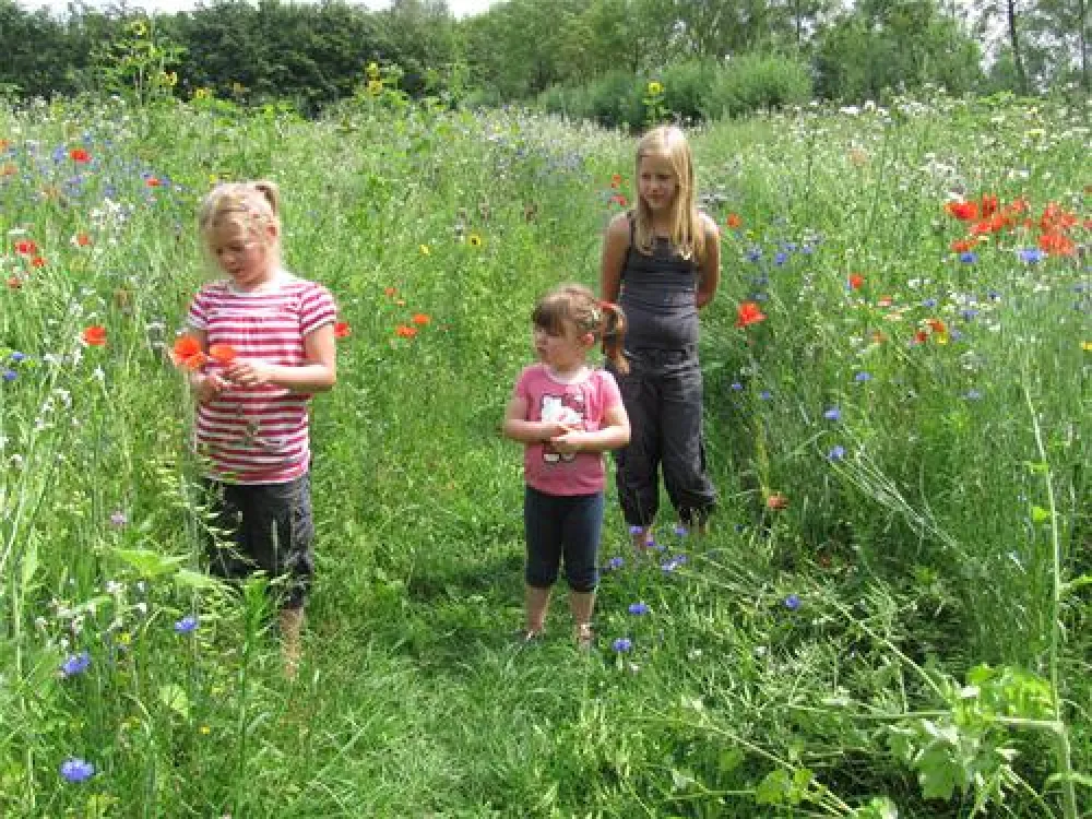 Eco - Touristfarm De Biezen