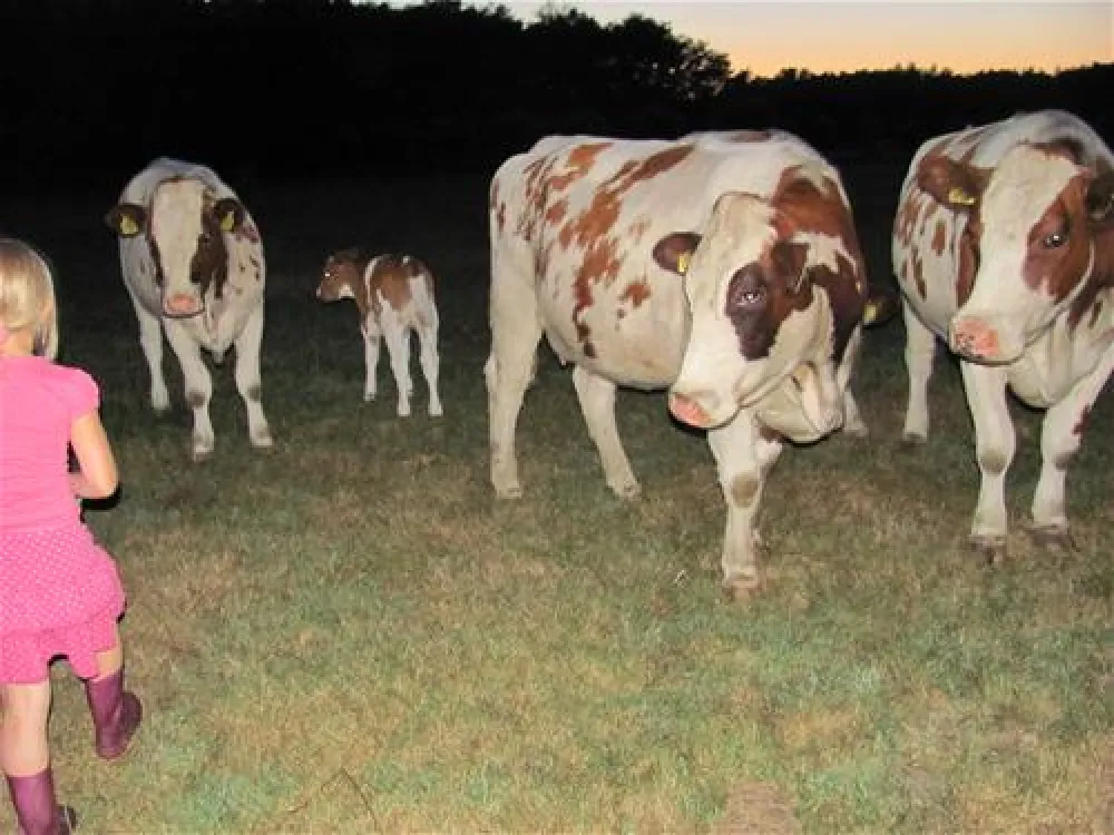 Eco - Touristfarm De Biezen