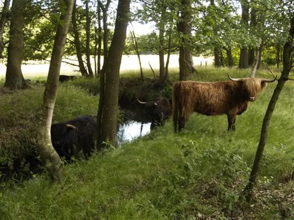 Eco - Touristfarm De Biezen