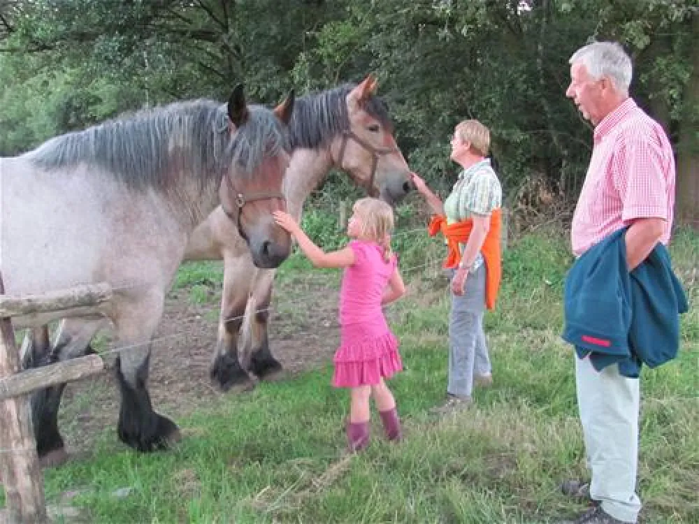 Eco - Touristfarm De Biezen