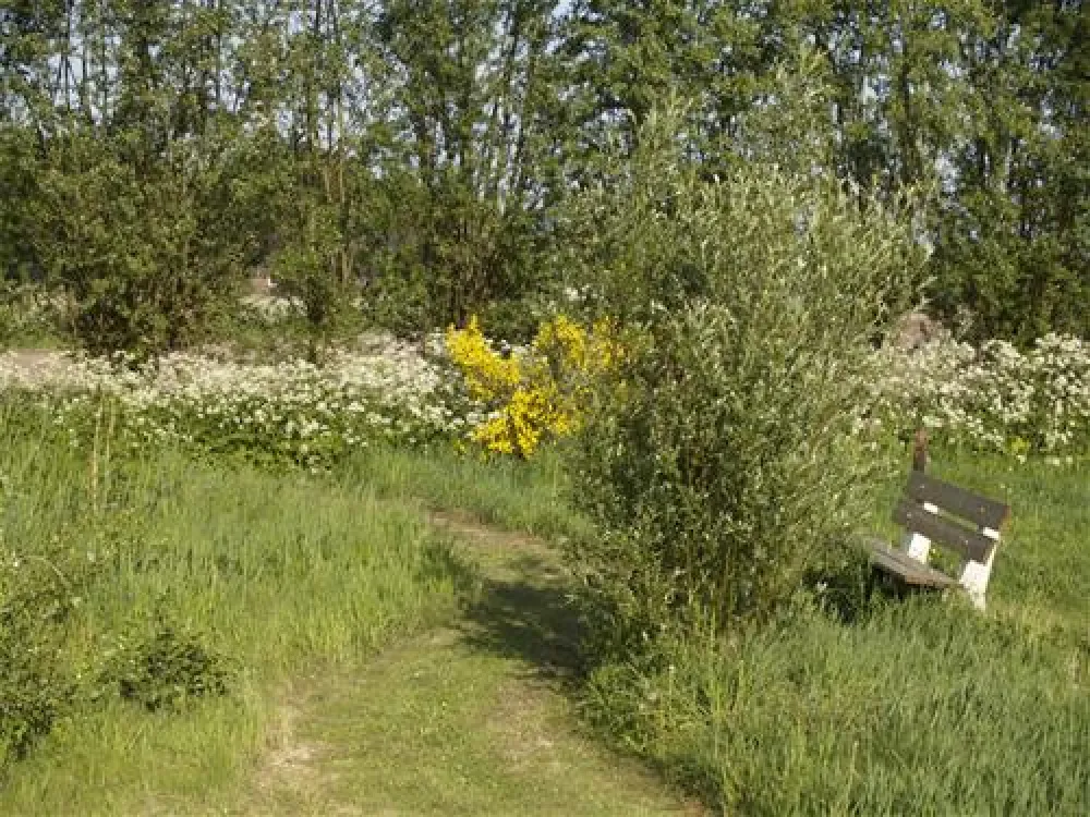 Eco - Touristfarm De Biezen